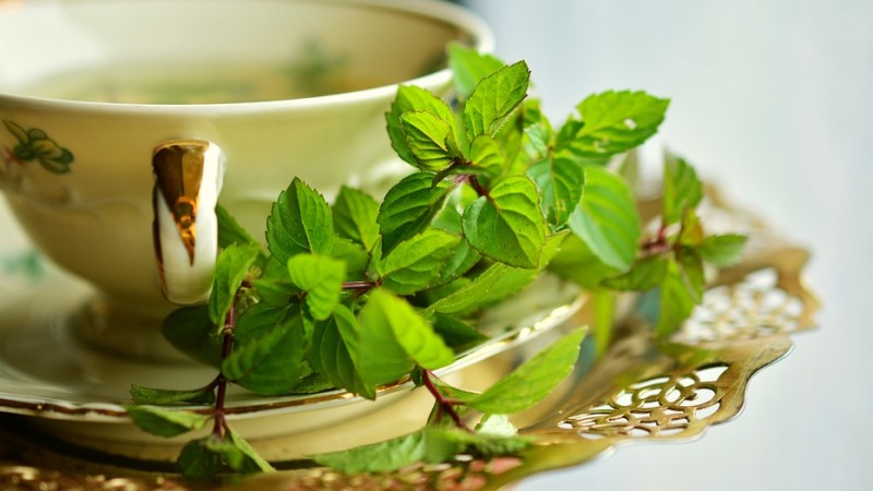 peppermint 2816012 960 720