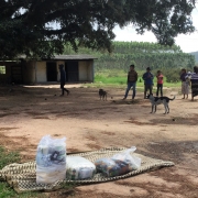 Os alimentos arrecadados na ação desenvolvida pela Unidade de Tapes forma entregues para comunidades indígenas Mbya Guarani.