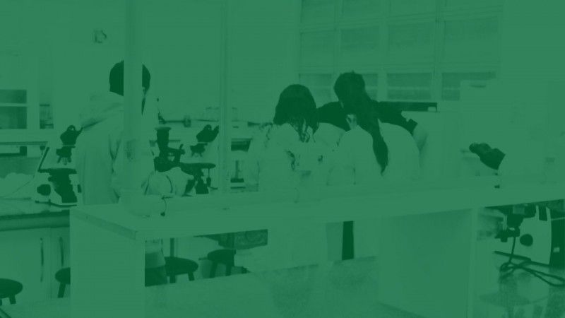 Foto com filtro verde de um grupo de estudantes vestindo jalecos, vistos de costas, em um laboratório da Uergs.